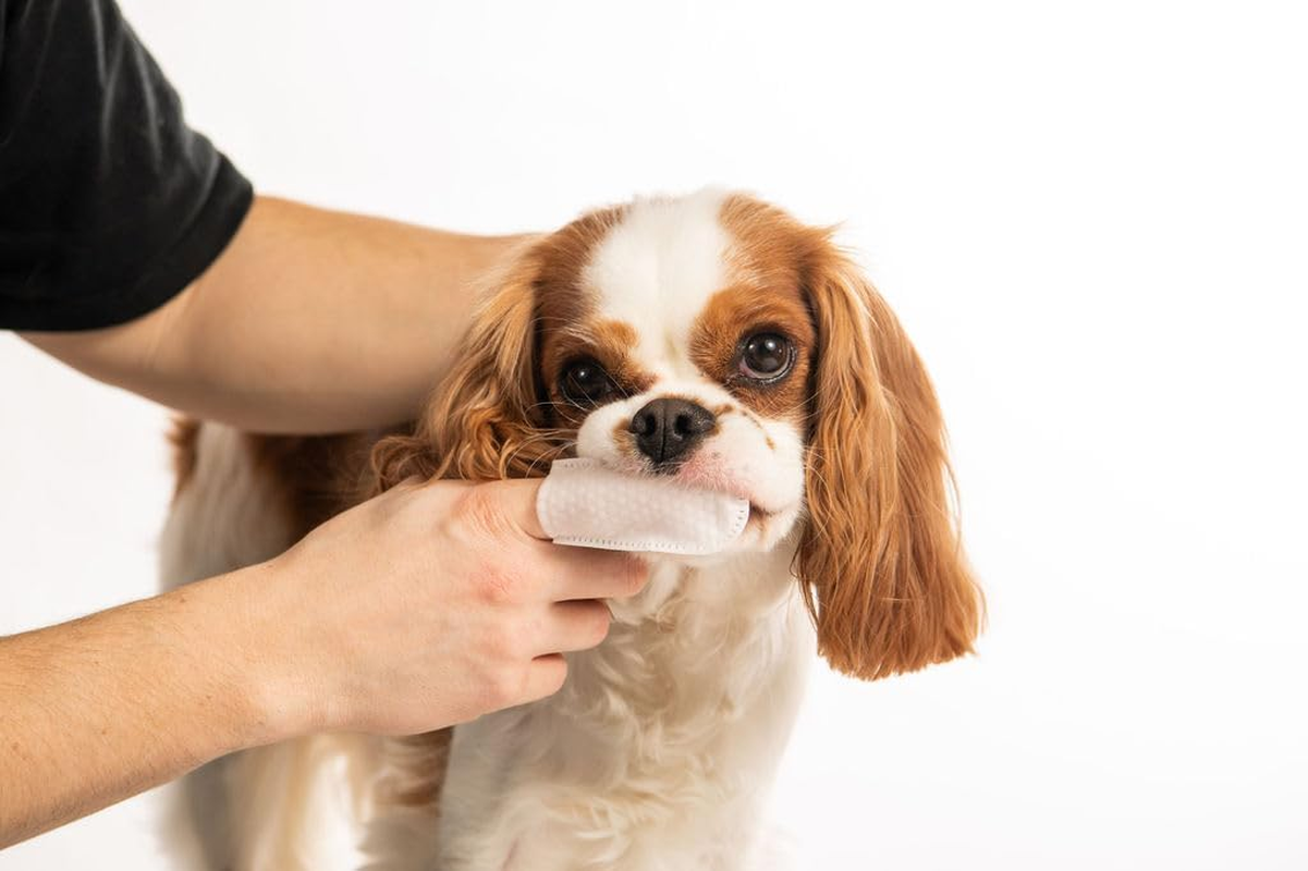 Pa & Paws Pet Dental Finger Wipes &ndash; 50Pcs | Fresh Breath & Oral Hygiene for Dogs & Cats | Peppermint | Safe & Easy Pet Tooth Cleaning image number 3