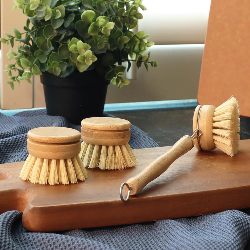 Eco Basics Plastic Free Dish Brush Refills, 2 Pack - 5X5X4.5Cm, Natural Bamboo Base, Tough Tampico Fibers, Biodegradable, Easy Clip-On Design for Sustainable Cleaning
