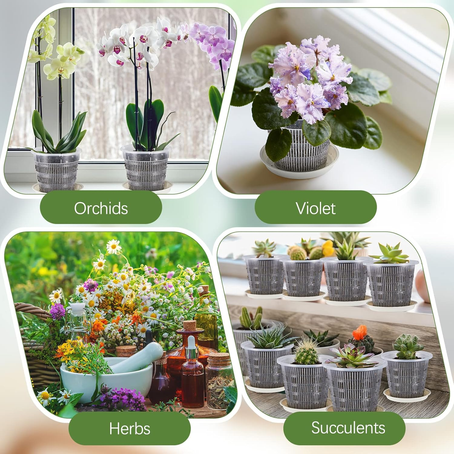 Amyhill 20 Pcs Clear Orchid Pot with Holes and Saucers Orchid Breathable Slotted Pot 4.3 Inch and 5.5 Inch Clear Plastic Plant Net Pots Nursery Pots with Trays for Indoor Plant image number 4