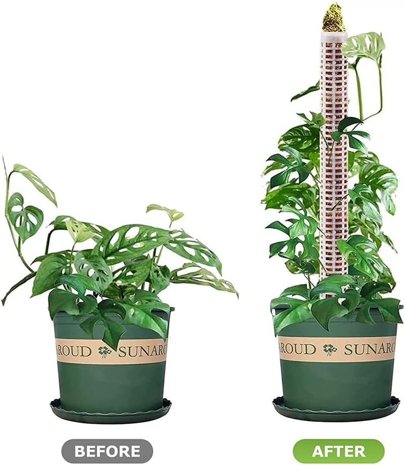 Qeunrtiy 6Pcs Plastic Moss Pole 15 Inch Transparent Moss Mesh Pole Small Moss Pole Stake for Plants Monstera Potted Plants image number 6