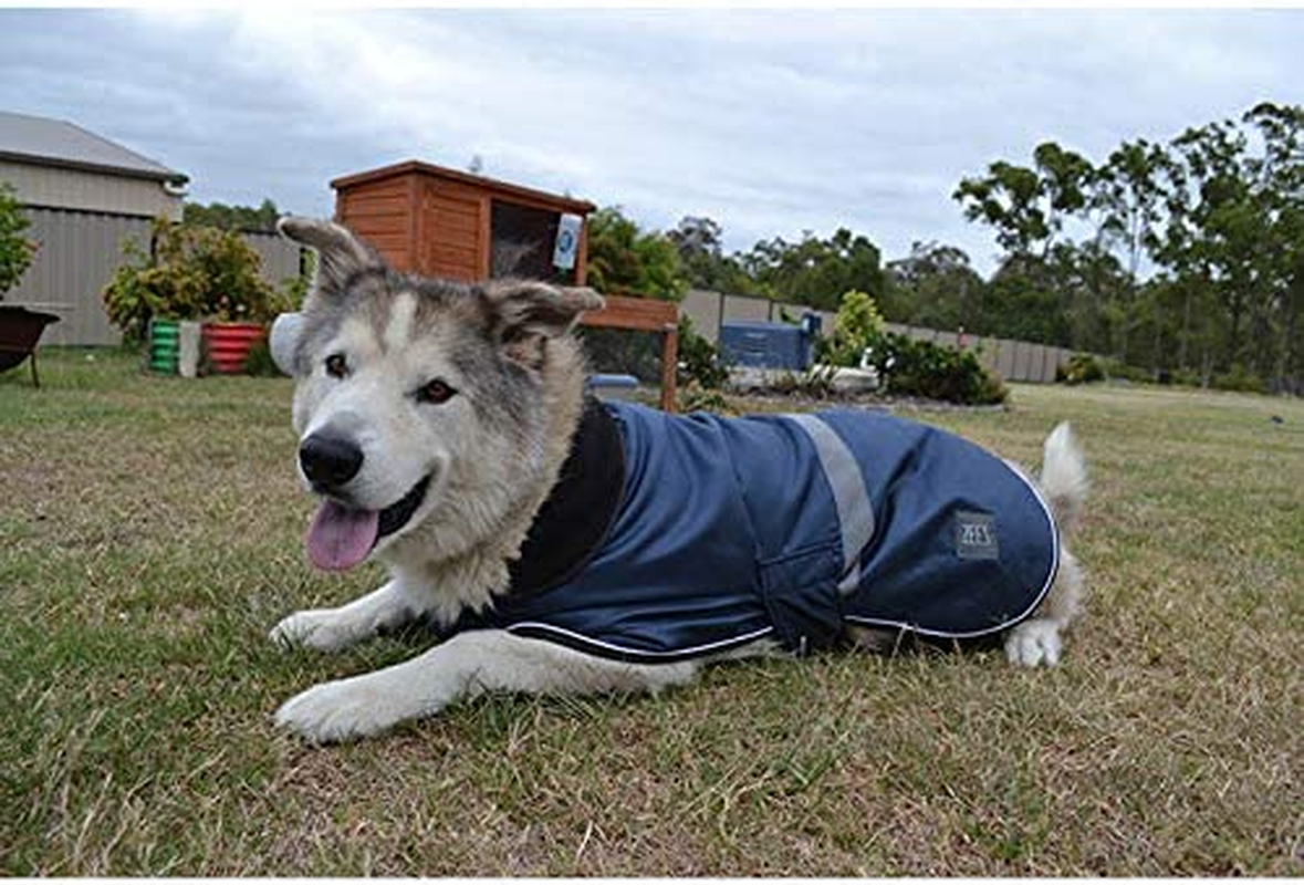 ZEEZ Dapper Dog Coat Size 22 (56Cm), Old Navy