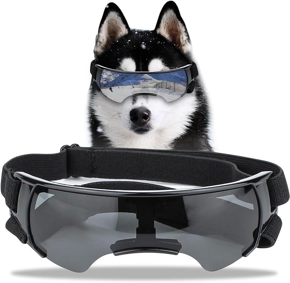 Dog Sunglasses Goggles, Windproof Waterproof Pet Glasses with Adjustable Strap, Cool Outdoor Accessories for Small and Medium Dogs (Black) image number 6
