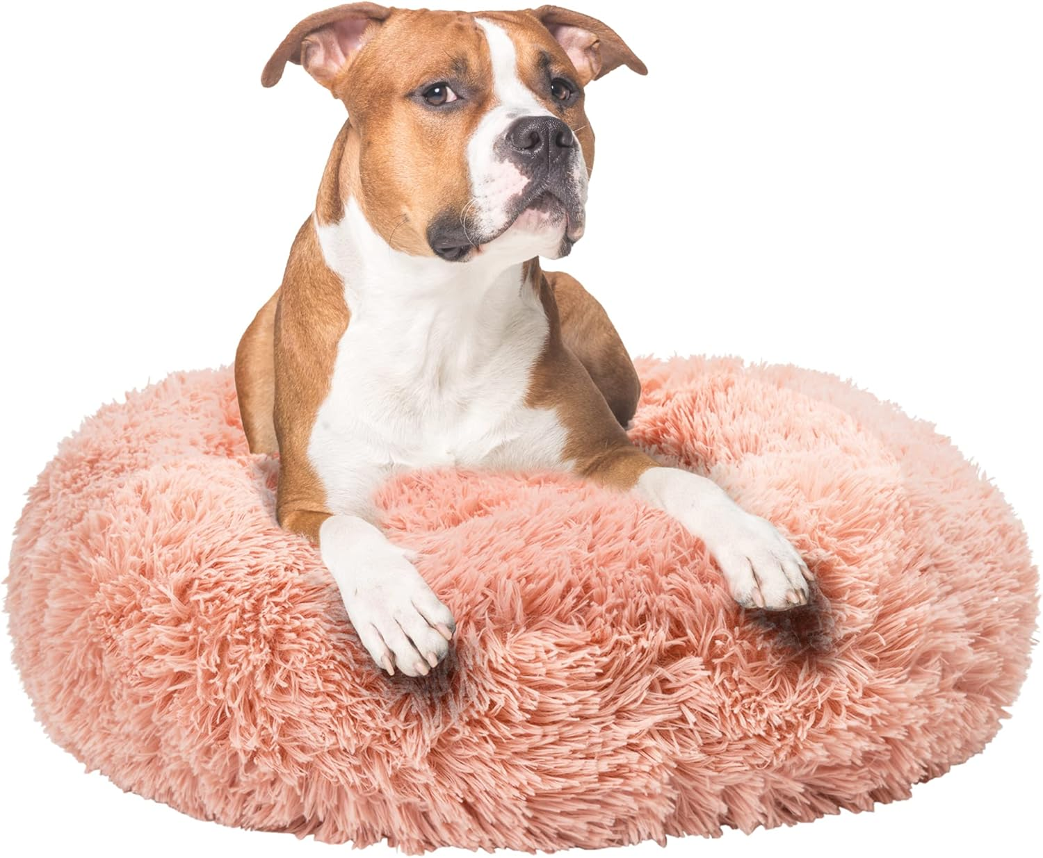 Fur & Bone round Plush Donut Dog Bed, Dog Bed & Cat Bed | Fluffy Dog Bed, Self-Warming Dog Beds | Washable Dog Bed with Non-Slip & Waterproof Bottom Calming Dog Bed, Dog Donut Bed - (70Cm, Dark Grey)