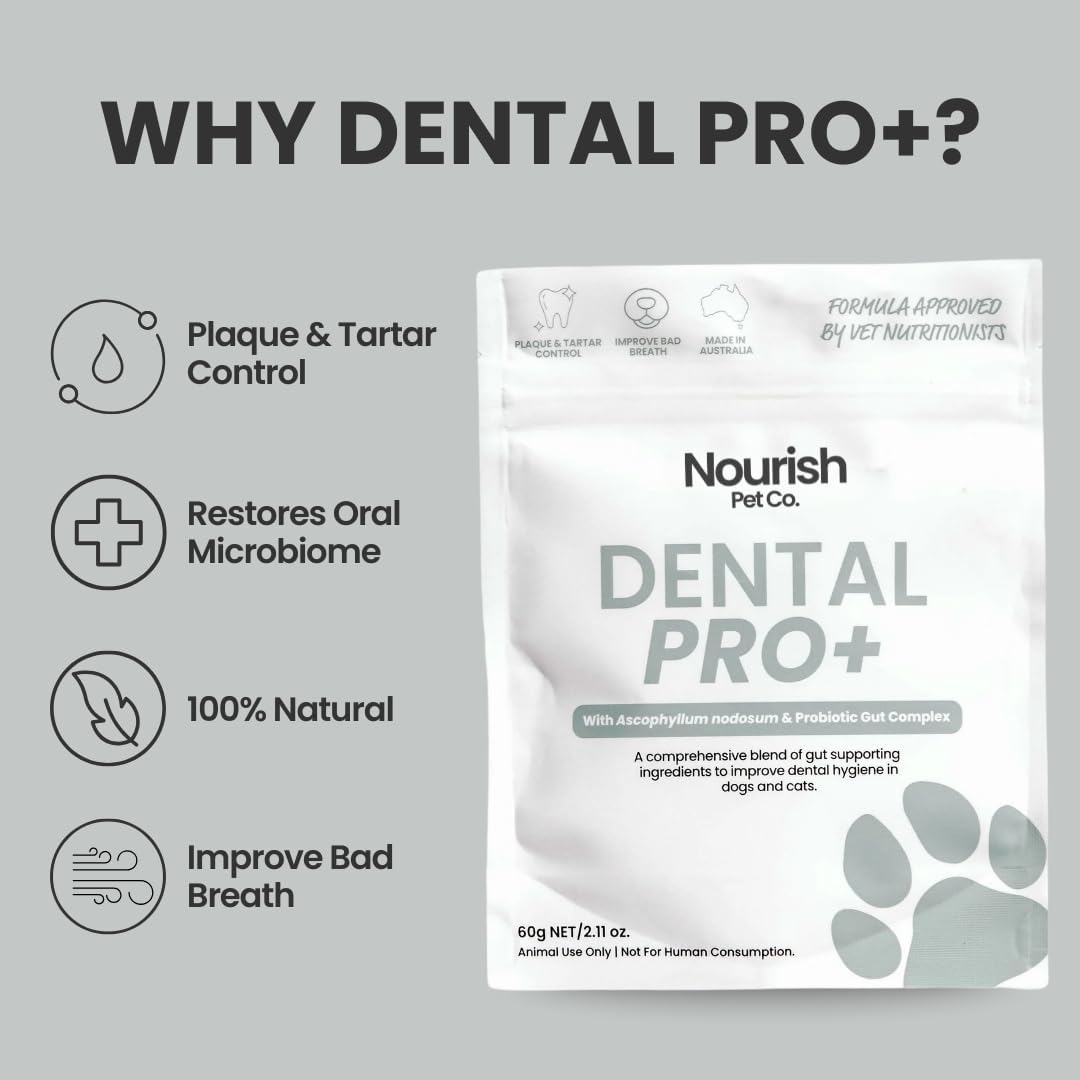 Nourish Pet Co. Dental Pro+ Pet Dental Powder, Cat & Dog Teeth Cleaning Powder, Breath Freshener, Fights Plaque and Tartar, Natural Ingredient Food Topper, 60G image number 3