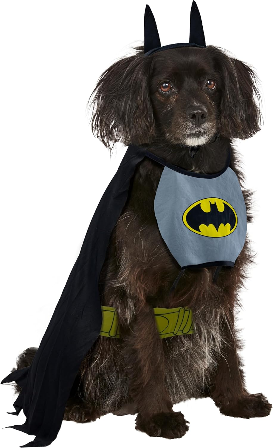 DC Comics Superheroes: Batman Pet Costume for Dogs or Cats by Rubies, Small image number 5