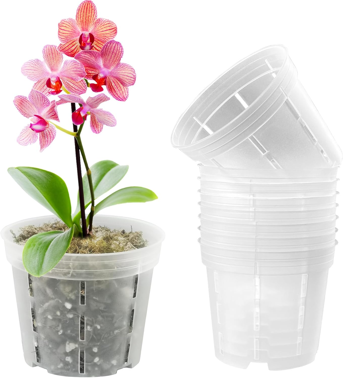 Orchid Pot, 3.9''W &times; 4.8''H 6 Pack,Orchid Pots with Holes,Sturdy Clear Plastic Orchid Pot for Repotting, Flower Plant Pot for Orchids Planter image number 5