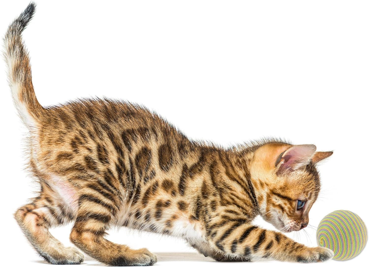 CAPASTEC Interactive Cat Toy Ball with Bell Inside, Diameter 3.54 Inches, Purple image number 6