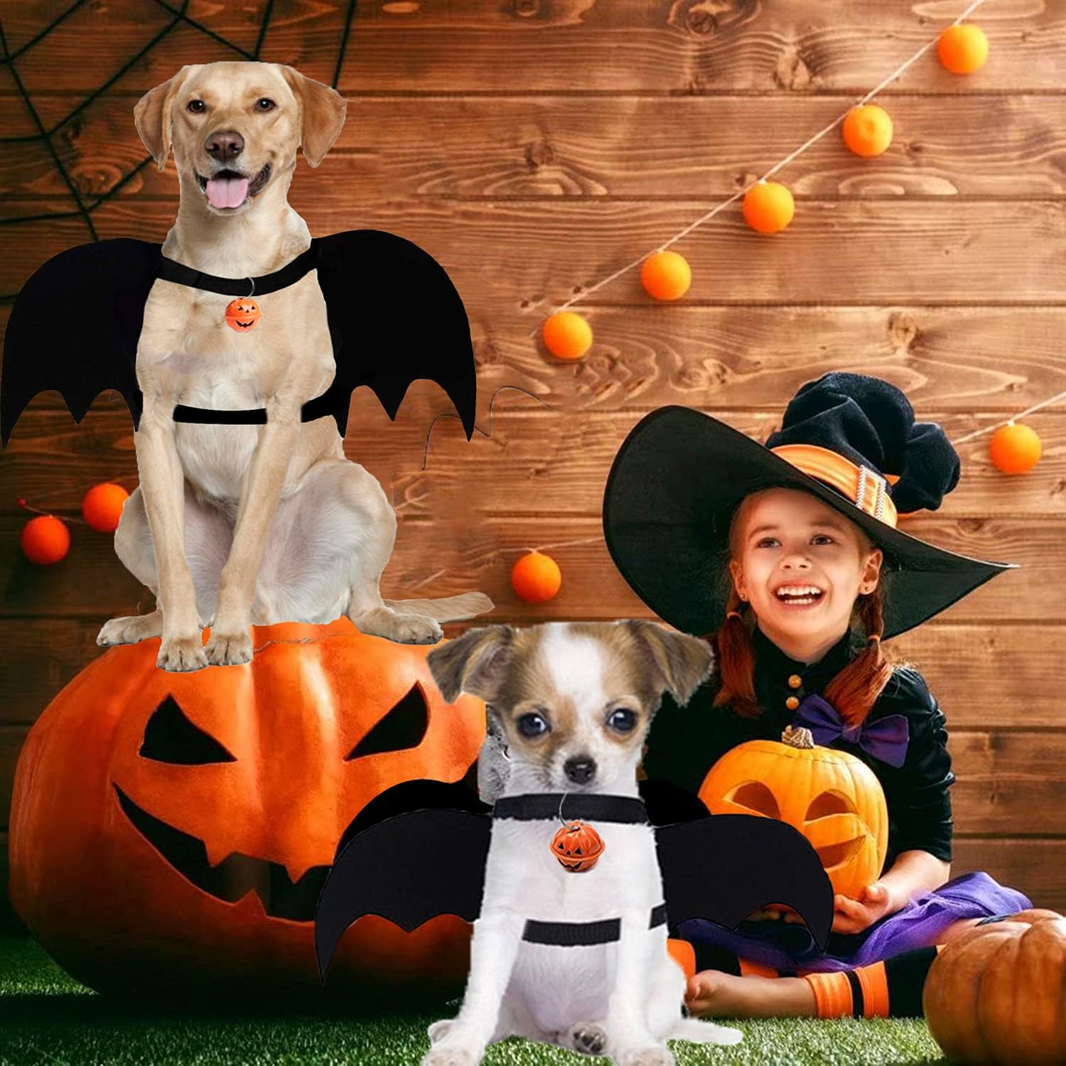 LKEX Dog Bat Wings, Pet Halloween Costume for Medium Large Dogs Funny Dog Clothes with Leads and Pumpkin Bells Puppy Dress up Halloween Decorations Apparel image number 3