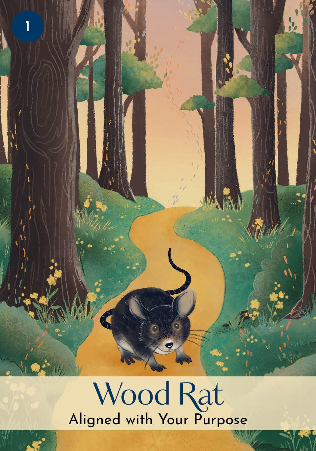 The Chinese Five Elements Oracle: a 60-Card Deck and Guidebook image number 4