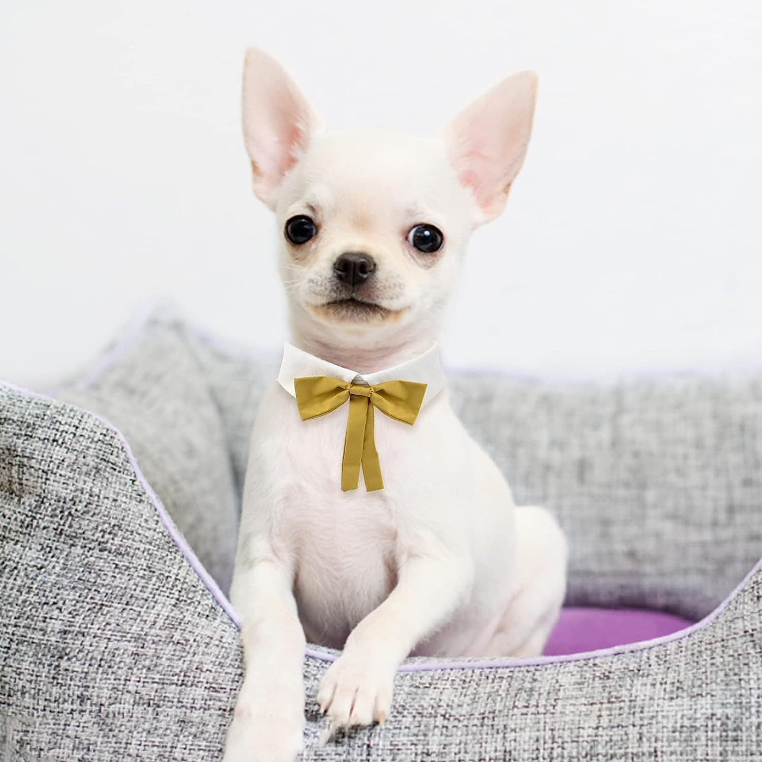 Formal Cat Necktie, 1 Piece Adjustable Cat Neck Tie Collar Cat Tuxedo Bowtie Collar for Dogs Cats Puppies Party Accessories image number 3