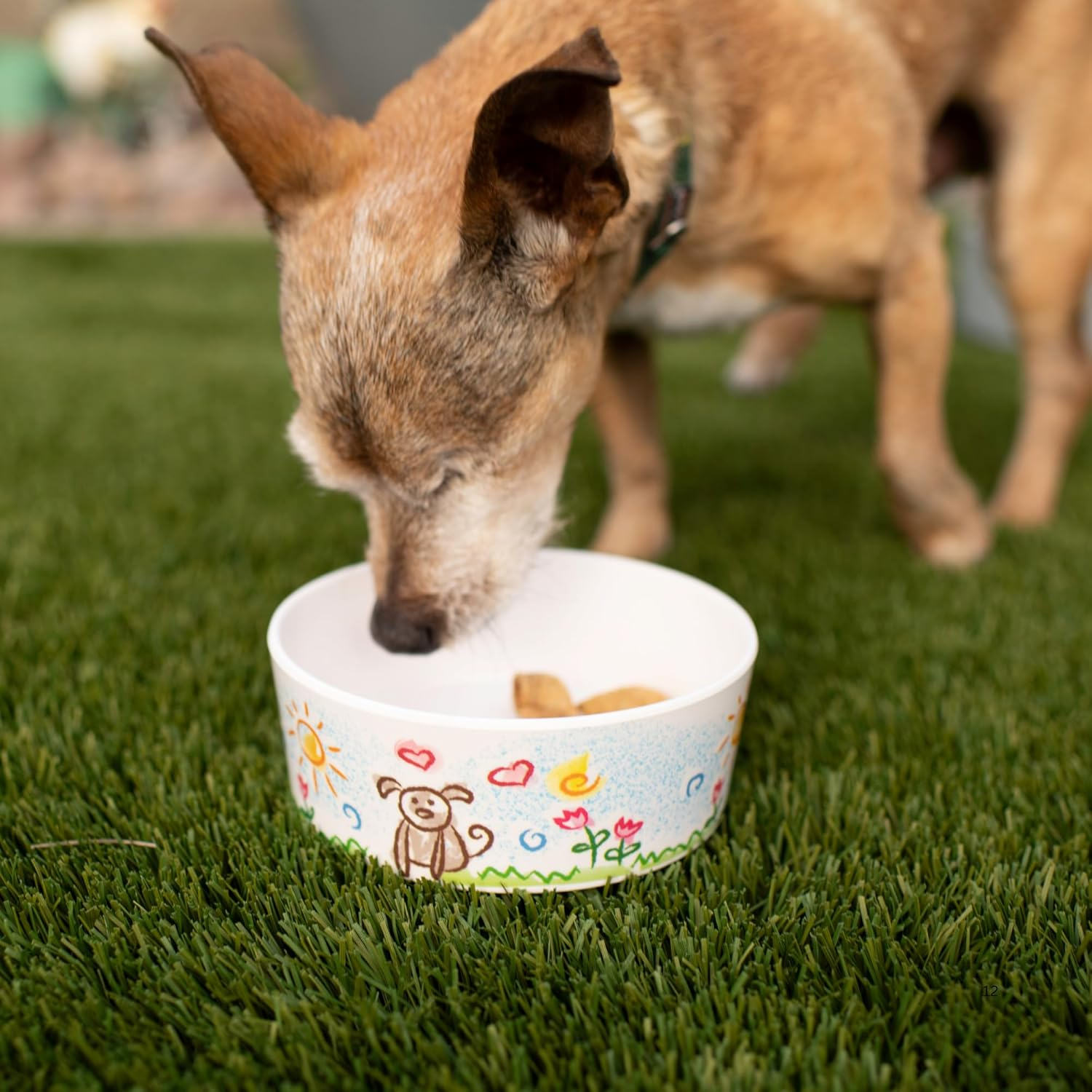 Loving Pets Dolce Moderno Puppy Forever Dog Bowl, Small image number 6