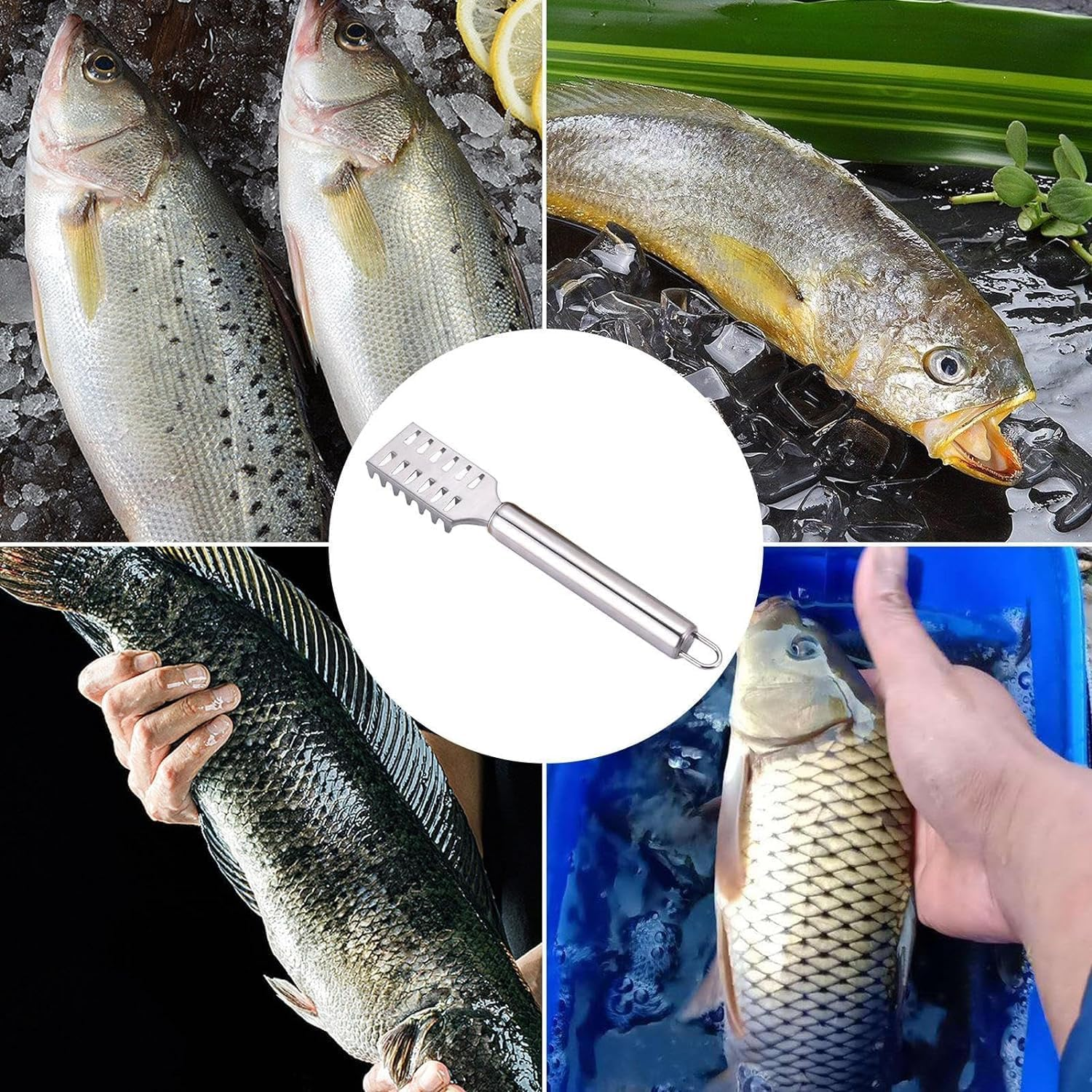 AIMALL Stainless Steel Fish Scaler, 7.68-Inch Scale Remover with Ergonomic Handle for Efficient Fish Skin Peeling image number 2