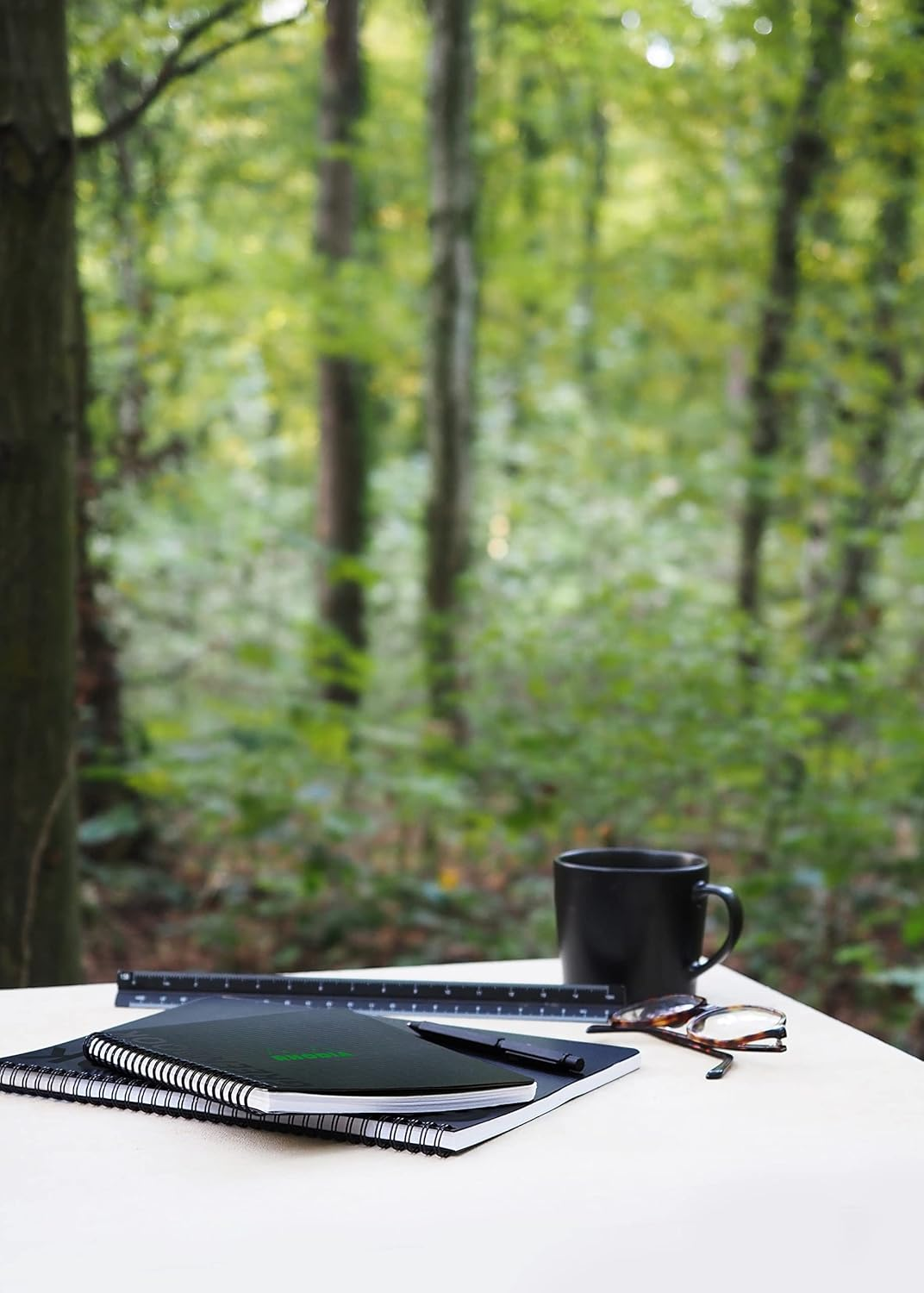 Rhodia Rhodiactive Greenbook 119913C Spiral Notebook, Squared, DIN A5+, 16 X 21 Cm, 80 Sheets Micro-Perforated, 4-Hole Punched, 100% Recycled Paper, 90, Black, Pack of 1