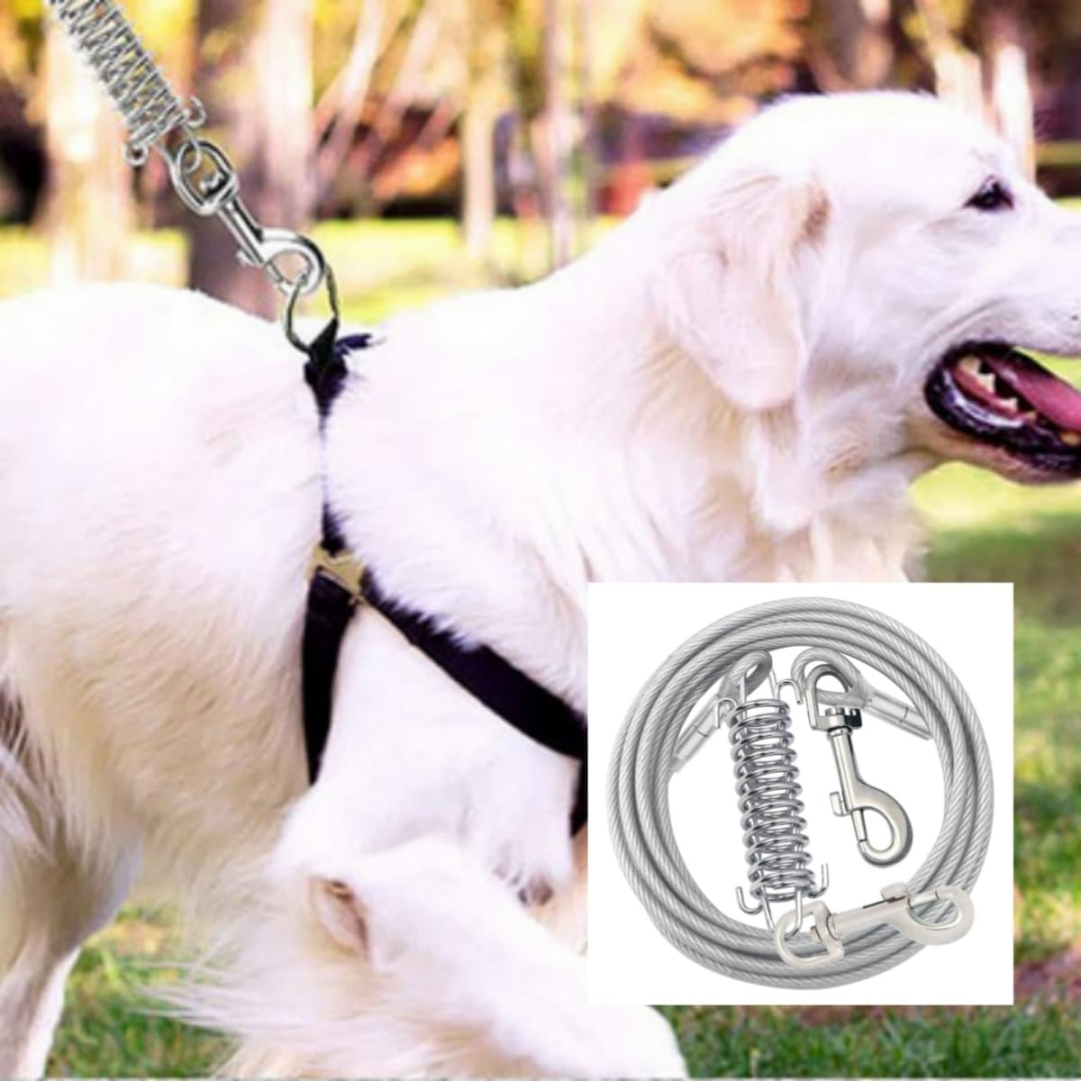 Xshelley Diameter(5 Mm) Dog Tie Out Cable-5 M Heavy Duty Dogs Chain with Shock Absorbing Spring-Yard Camping Outdoor Sturdy Lead for Small to Large Dog up to 150Kg image number 3