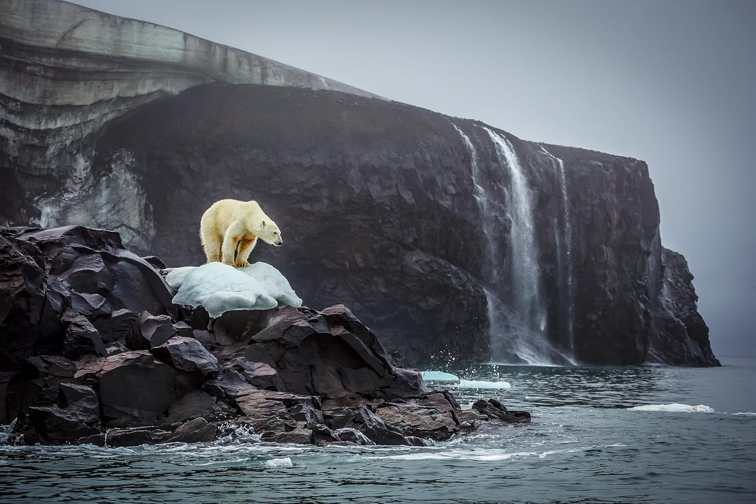 Bi-Polar: Photographs from an Unquiet Mind image number 4