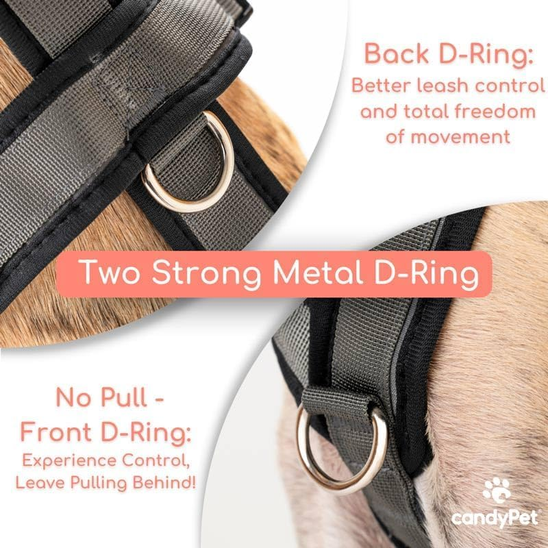 3 Point No Pull Harness, Ideal for Greyhound, Italian Greyhound, Whippet, Greyhound, Podenco - Safe, Breathable and Durable Walking, Training and Running - Anthracite, M image number 7