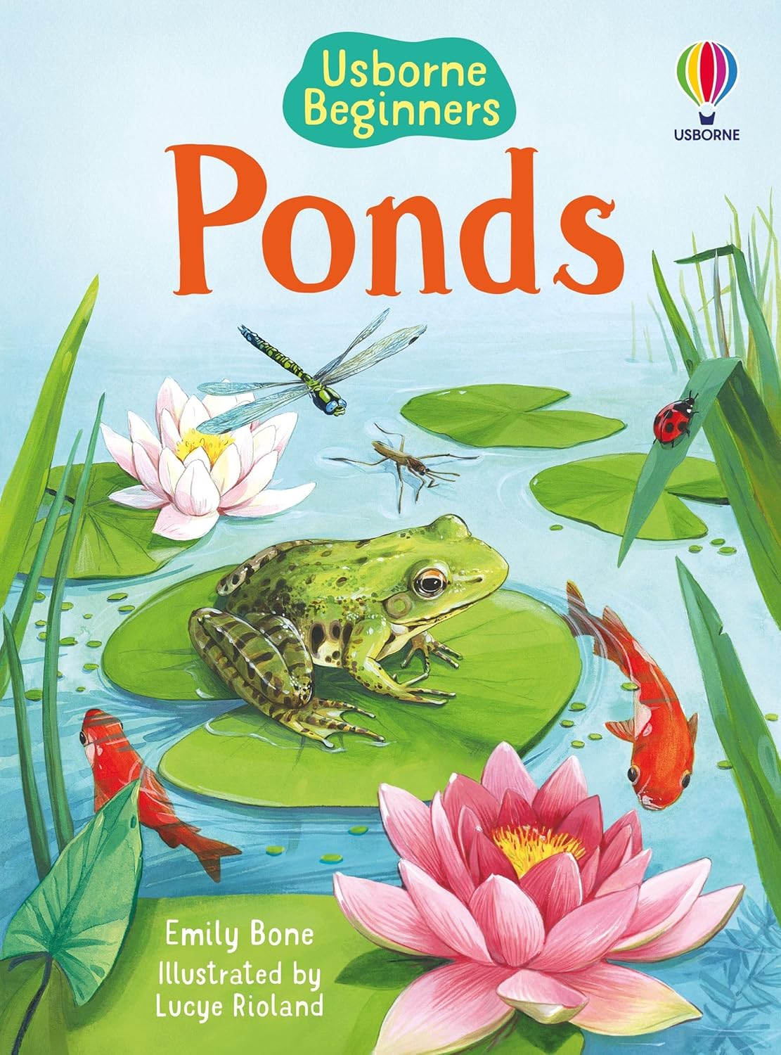 Beginners Ponds