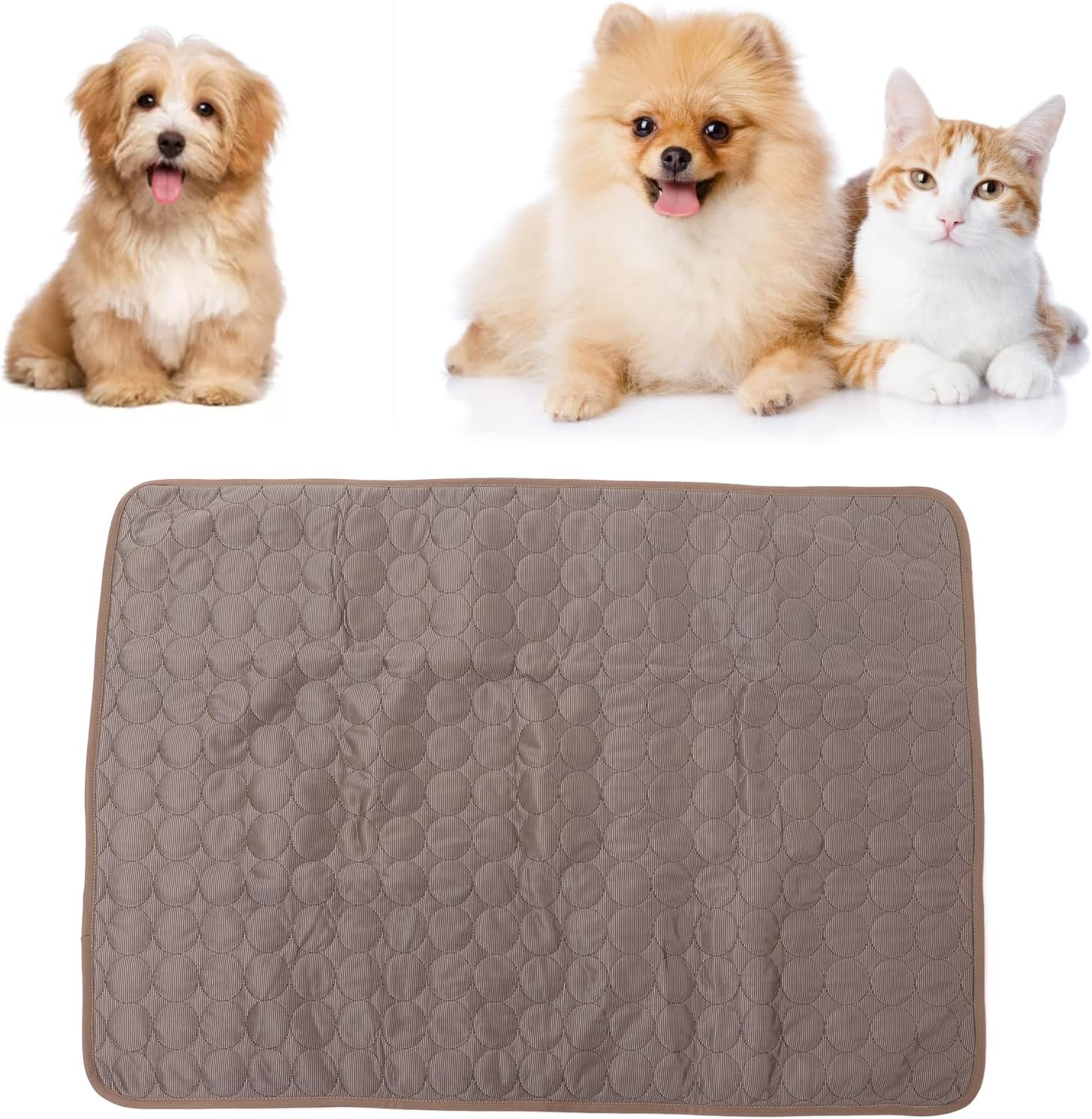 Pet Ice Pad - Foldable Double Sided Cooling Ice Silk Cloth Pad - Dog Self Cooling Mat Ice Silk Chill Pads - Breathable Heat Dissipation Pad for Indoor and Outdoor Car Seats (S) image number 1
