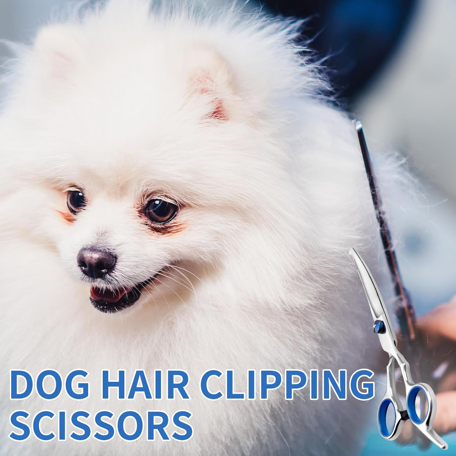 Lithyc Dog Scissors, Pet Grooming Scissors, Curved Dog Scissors, Cat Grooming Scissors, Professional round Grooming Scissors, Pet Care Tools Made of Stainless Steel image number 3