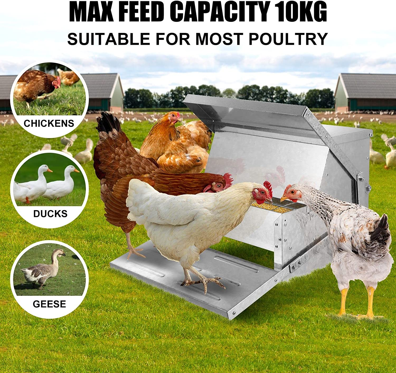 Pet Scene 10L Automatic Chicken Feeder Chook Food Feeder Large Capacity Treadle Galvanized Steel Opening Poultry image number 6