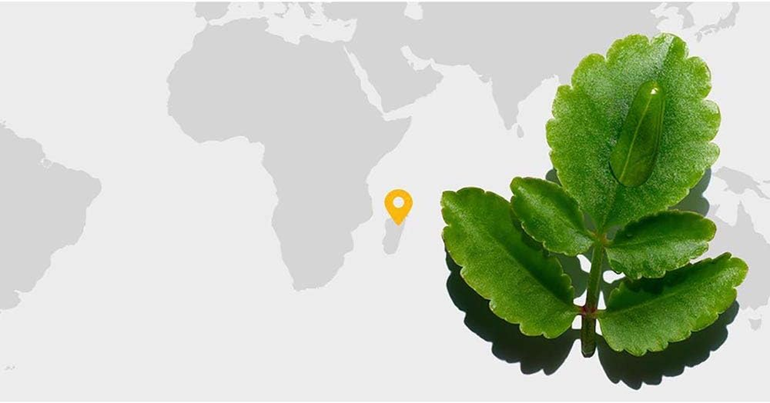 Clarins Double Serum (Hydric + Lipidic System) Complete Age Control Concentrate 30Ml/1Oz image number 4