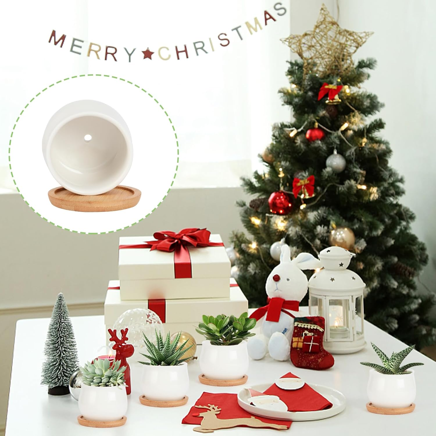 SHECIPIN Succulent Plant Pot, White Mini 2.6 Inch Ceramic Flower Planter Pot with Bamboo Tray, Pack of 8 - Plants Not Included - Black,White image number 7