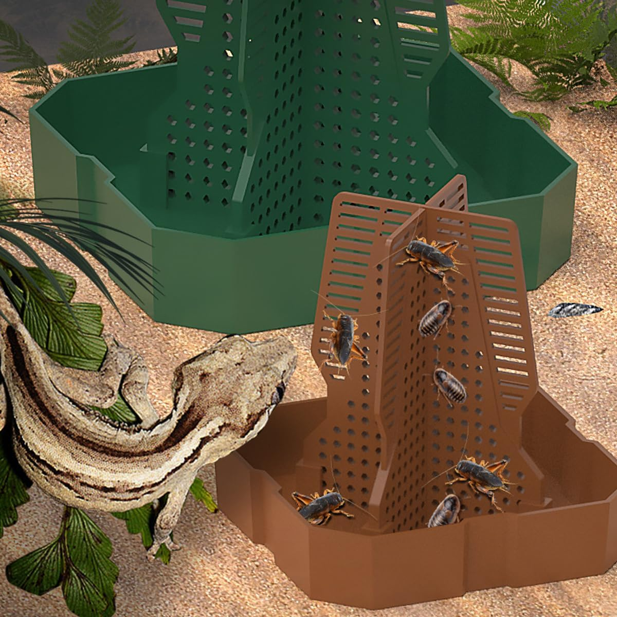 AIMALL Reptile Feeding Basin, Anti-Escape Design, Horned Frog and Dubia Cricket Compatible, Available in Two Sizes and Colours - Brown-S image number 4