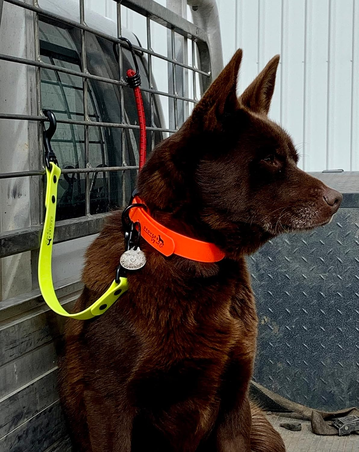 DROVERS Dog and Co Biothane Ute Tie - Super Tuff - Bright Colours - Light Weight - Handy Tie - Easy Clean (Yellow) - Blue image number 5