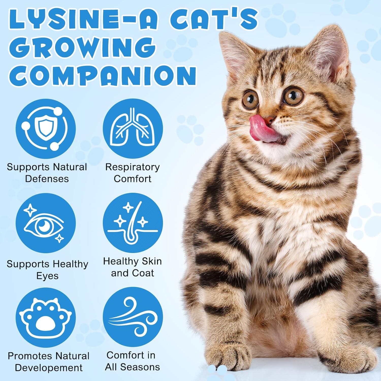 L-Lysine Supplement for Cats 60Ml | Daily Feline Wellbeing Support | Helps Maintain Normal Eye Moisture, Respiratory Comfort & Immune Health | Easy-To-Give Liquid Formula | Roast Chicken Flavour image number 1