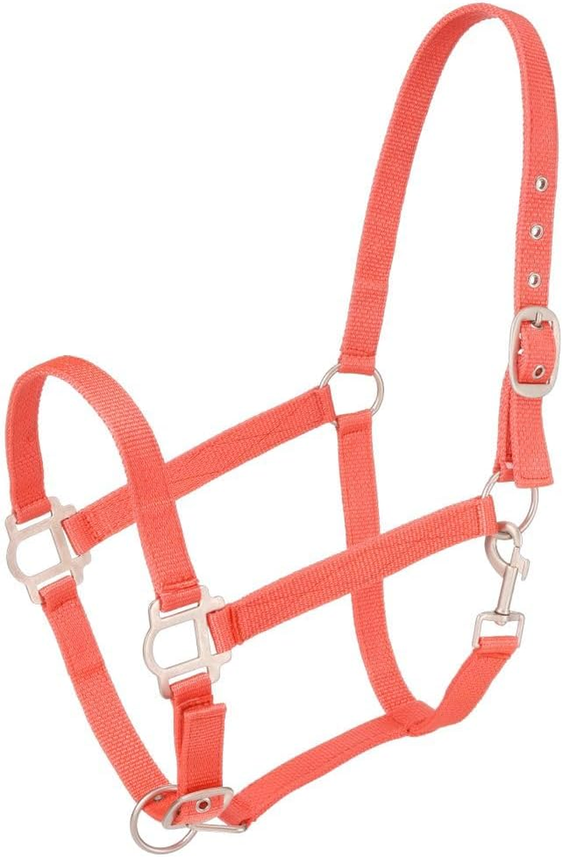 Tough 1 Tough-1 Nylon Halter with Satin Hardware