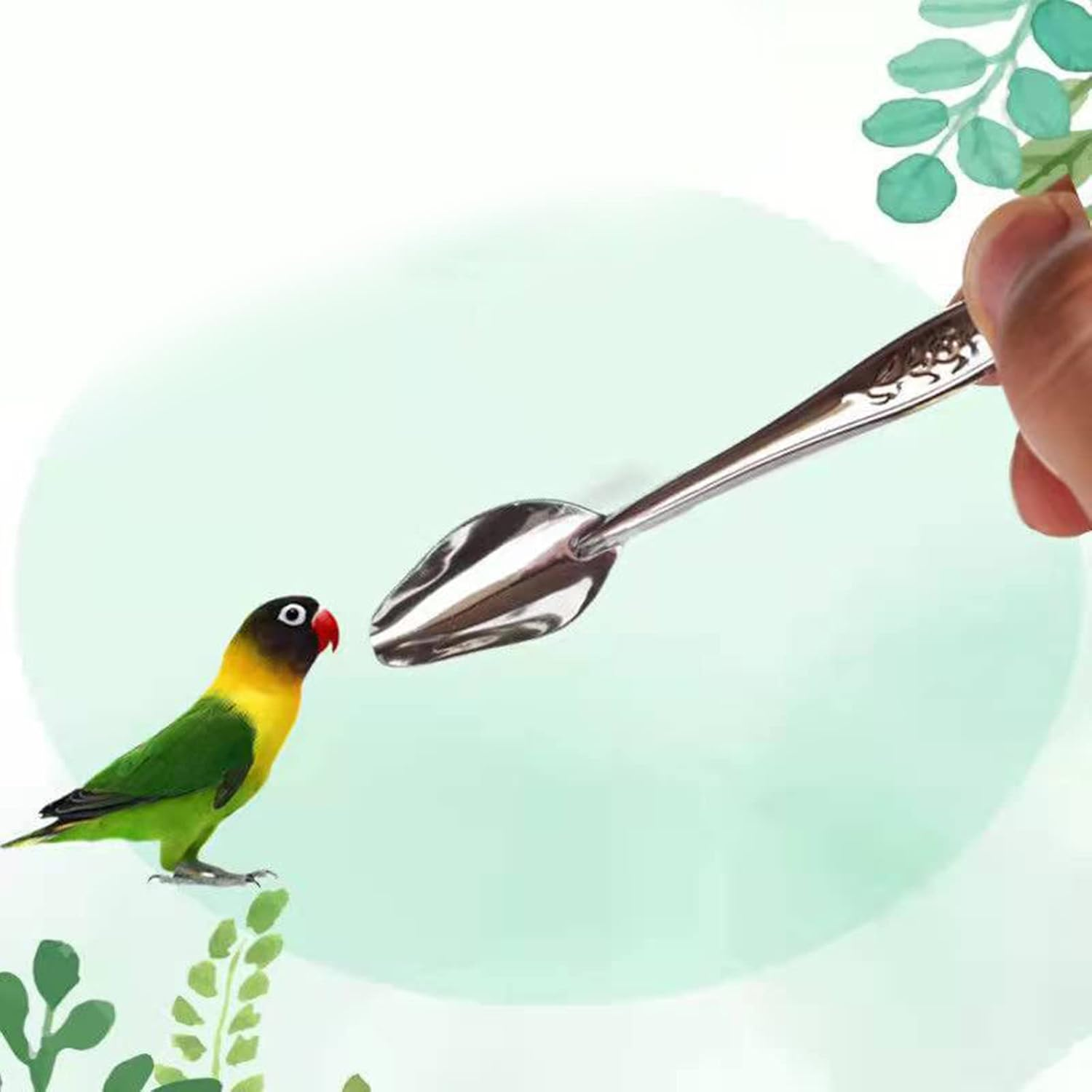 ROYJJ Metal Parrot Feeding Spoon Stainless Steel Milk Water Hand Feeder Spoon Peony Cockatiel Small Bird Parrot Feeding Spoon Chick Stainless Steel Spoon image number 5
