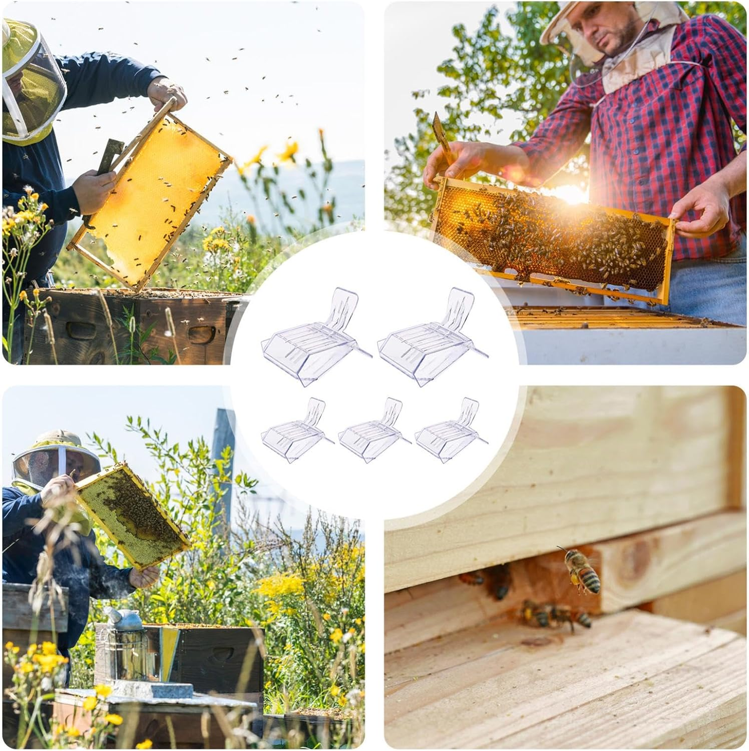 Queen Bee Clip, Queen Bee Keeper Catcher Clips, Beekeeper Catching Clips, Queen Bee Marking Catcher for Safely Capture, Store and Mark image number 6