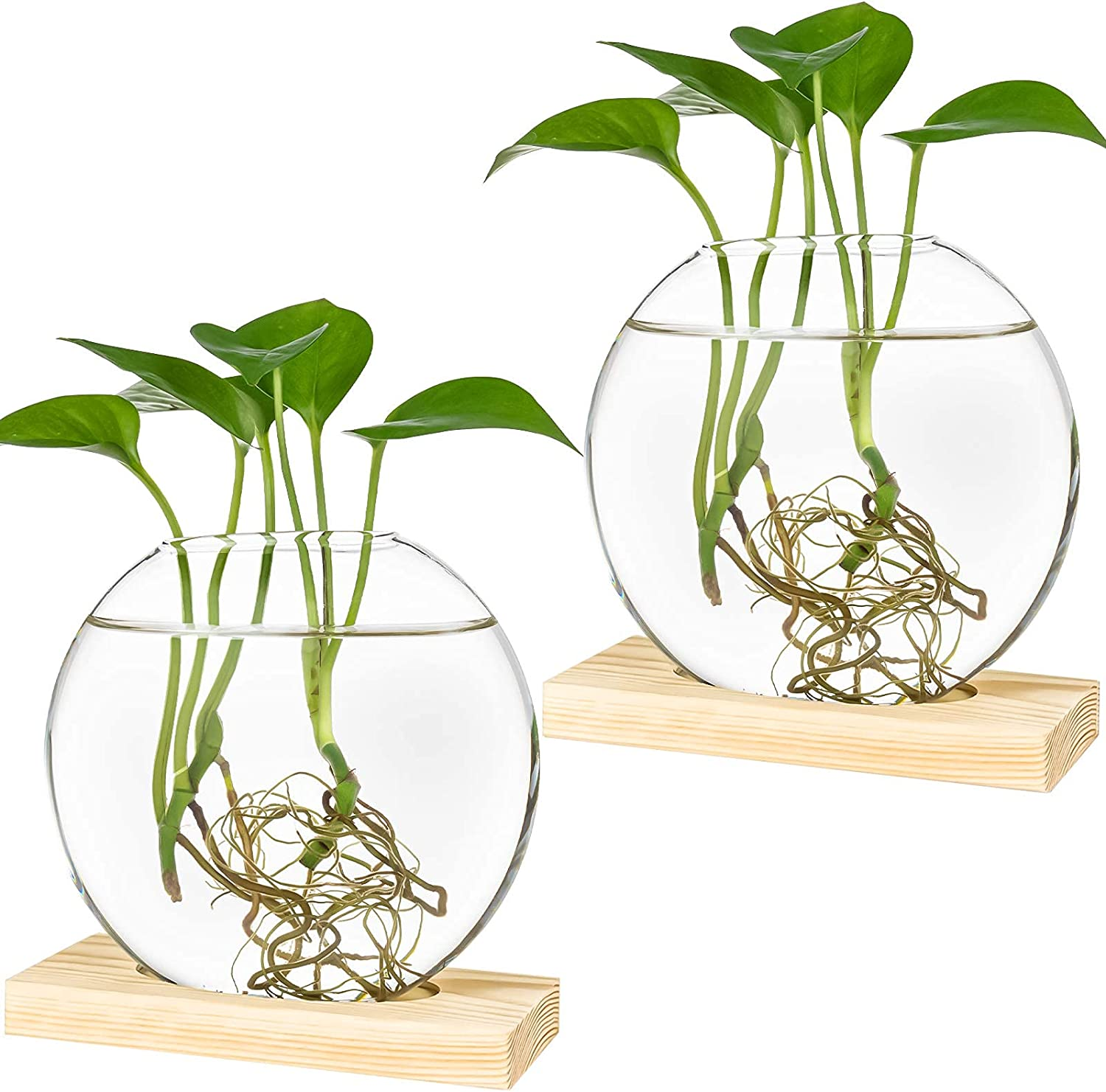 Kingbuy Desktop round Glass Planter Terrarium Flower Vase with Wooden Stand for Propagation Small Hydroponic Plants Home Office Decor, 2 Pack, Brown