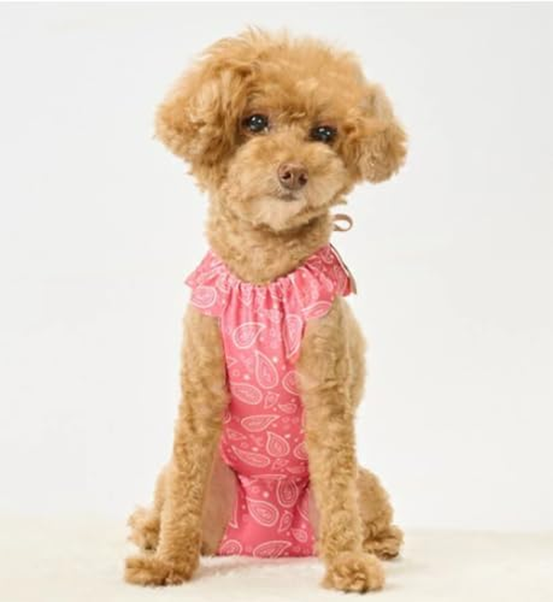 Anifull Scratching Apron for Dogs, Paisley Red, Large image number 4