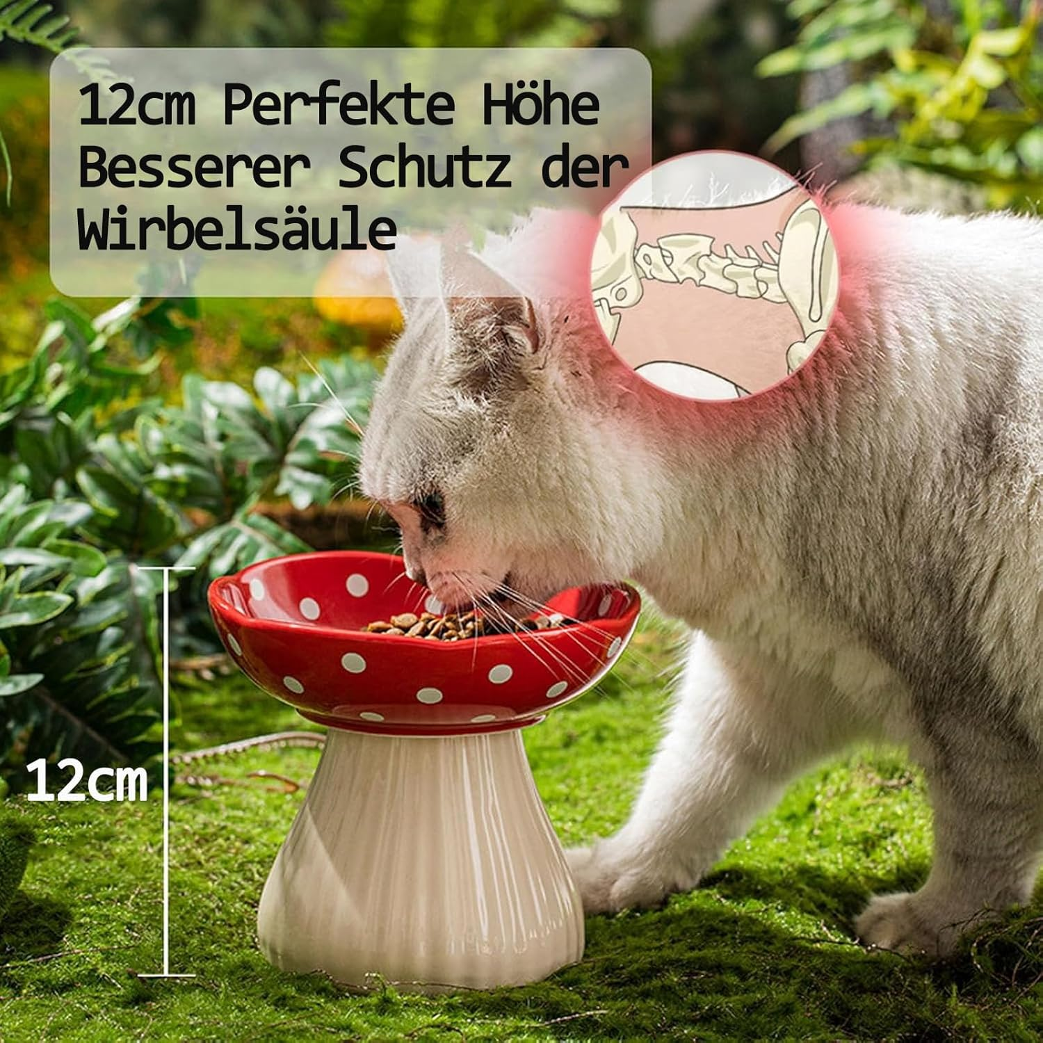 Cat Bowl, 15 Cm Raised Feeding Bowl, Cat Bowls, 300 Ml Ceramic High Feet to Protect the Cervical Spine, Feeding Bowl, Water Bowl, Pet Accessories, Dog Food Bowl, Cat Food Bowl (Red)