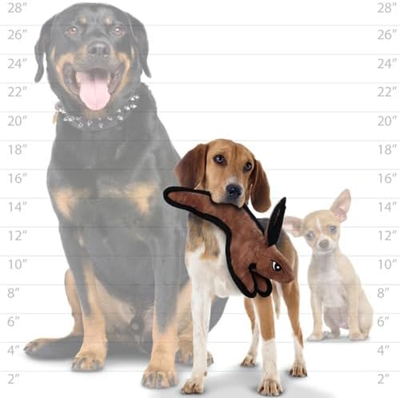 Barnyard Series Jr Rabbit image number 2