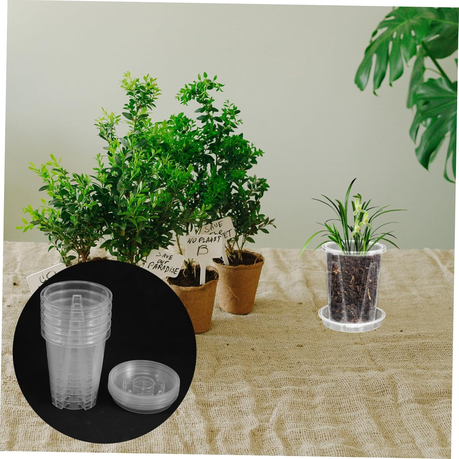 SUPVOX 5Sets Orchid Pots Saucers Breathable Slotted for Healthy Root Growth for Orchids and Flower Gardening