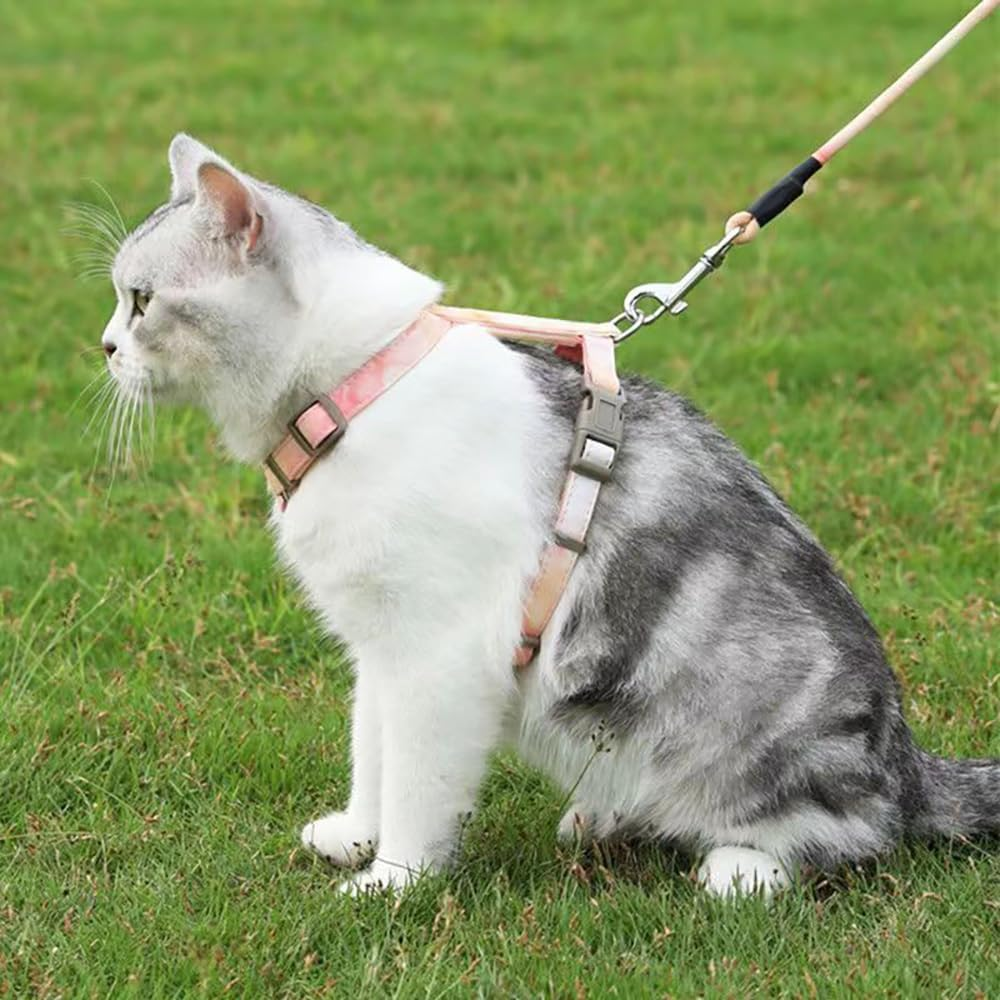 Cat Harness with Lead, Escape Proof Cat Harness Lead, Adjustable Cat Lead with Harness for Small, Medium Cats, Outdoor Walking, Colour Gradient Orange