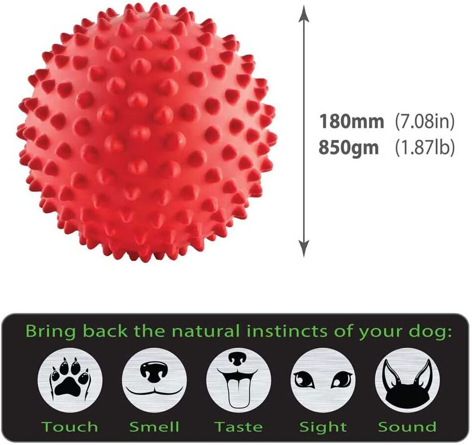 Aussie Dog Products 18Cm Mitch Interactive Hard Ball Pet Play Toy Outdoor Red M
