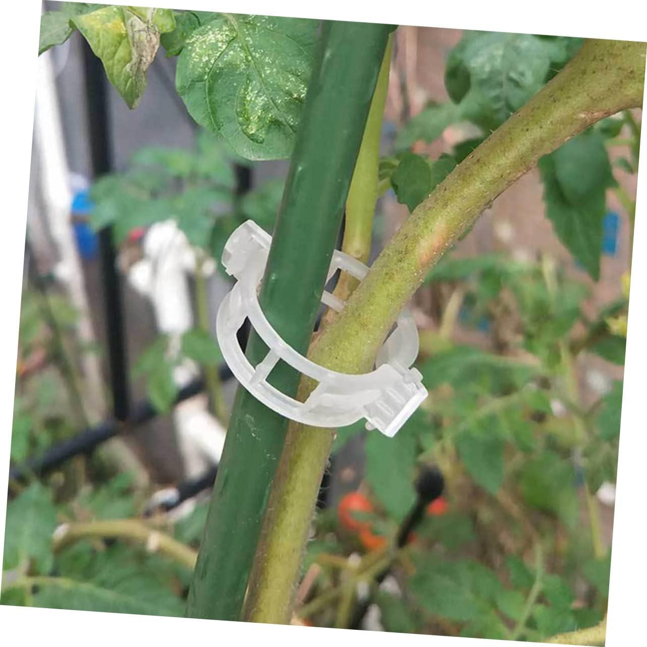 Levemolo 300Pcs Gardening Clips Plant Holder Clips Reusable for Tomatoes Cucumbers image number 6