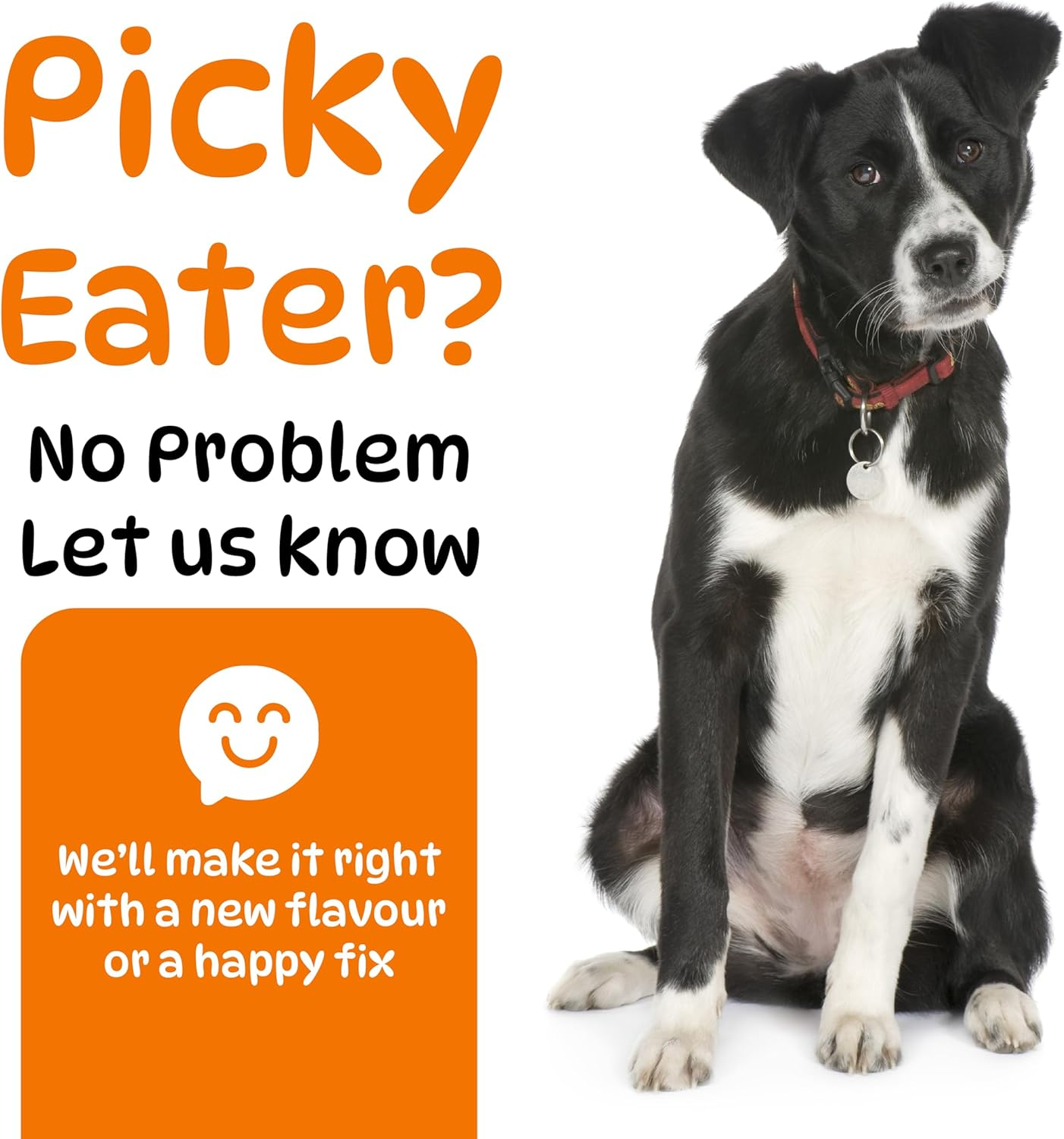 Dog Hip and Joint Supplements, Glucosamine Chondroitin & Green Lipped + Omega-3 & Turmeric + MSM, Treats Improve Joint Function & Mobility in All Ages (Chicken Flavour 100 Chews) image number 3