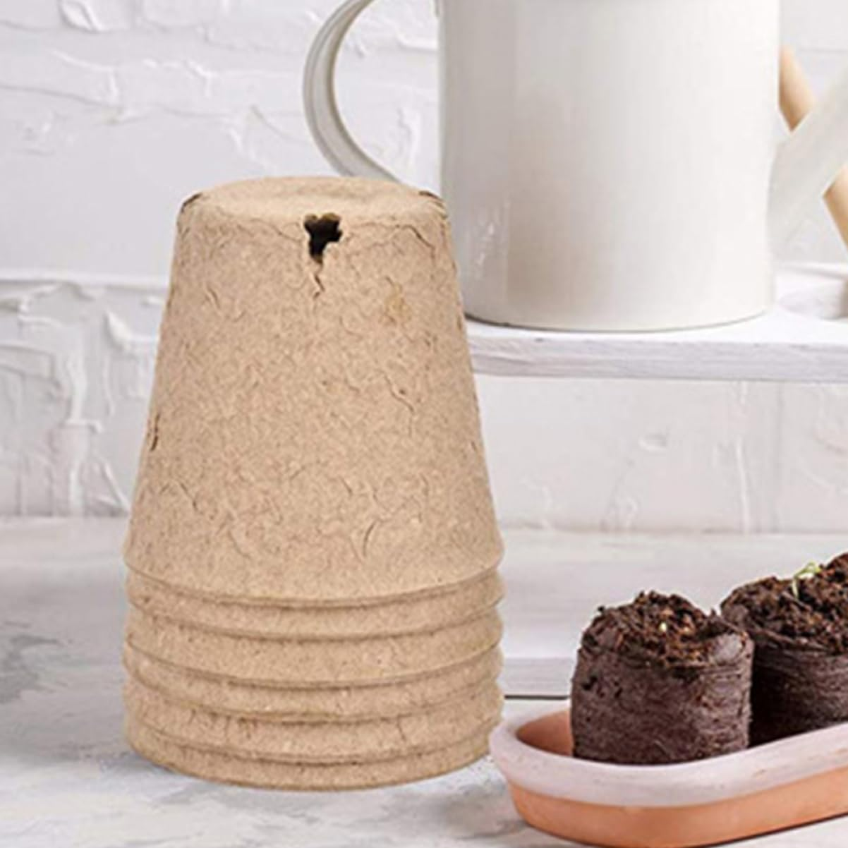 INOOMP 50Pcs Garden Nursery Pots round Seedling Trays Paper Planting Trays for Indoor Plants Seed Starting Supplies image number 2