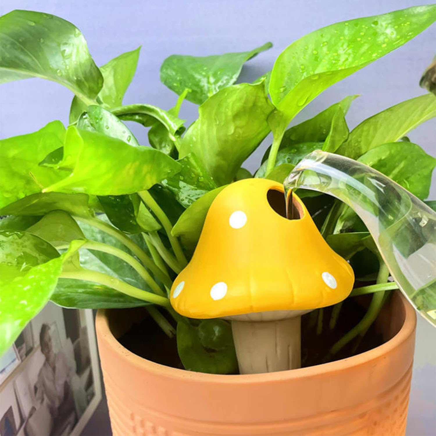 Mushroom Shaped Self Watering Globes 4 PCS Plant Watering Globes for Indoor and Outdoor Plants Self Devices for Indoor Plants image number 1