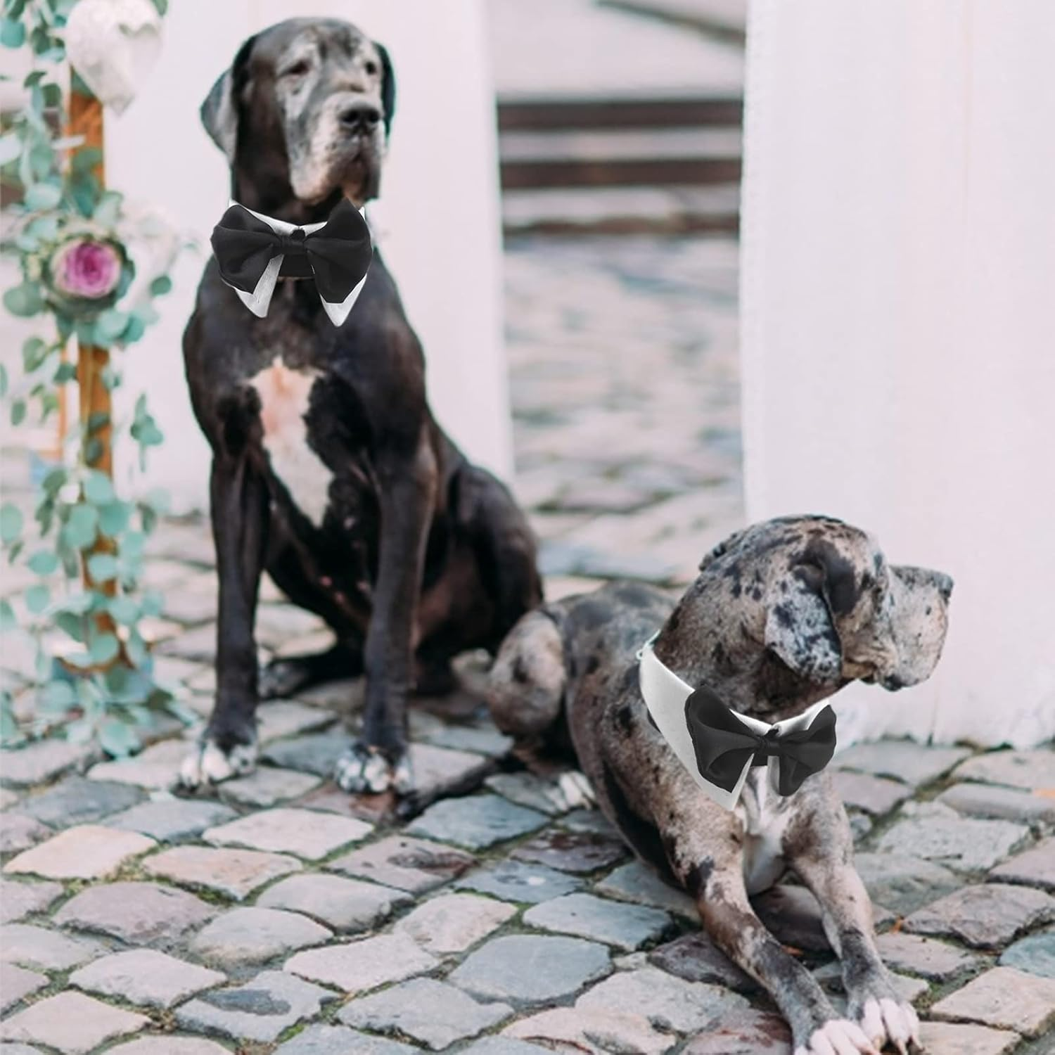 HACRAHO Formal Dog Bowtie Collar, White, X-Large, Cotton, Adjustable, 29-31 Inches, Wedding, Party, Accessory image number 4