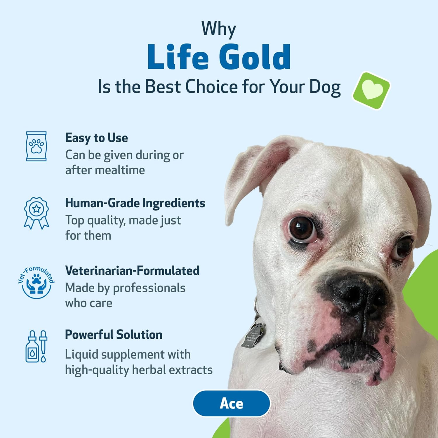 Pet Wellbeing Life Gold for Dogs - Immune Support and Antioxidant Protection - Veterinarian-Formulated Herbal Supplement 2 Oz (59 Ml) image number 3