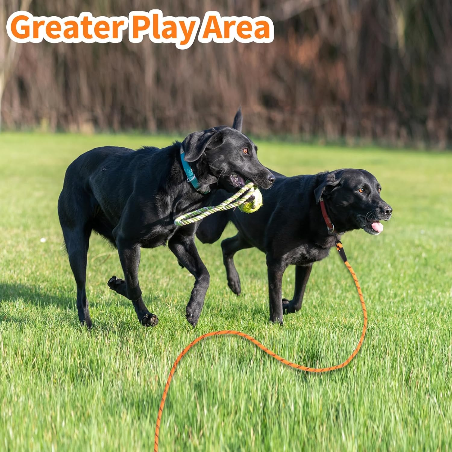 Dog Lead for Large Dogs image number 3