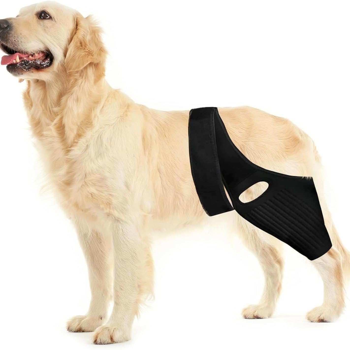 New Dog Knee Brace Ligament Tear Protection Rehabilitation Belt with Ten Bones (Black, L)