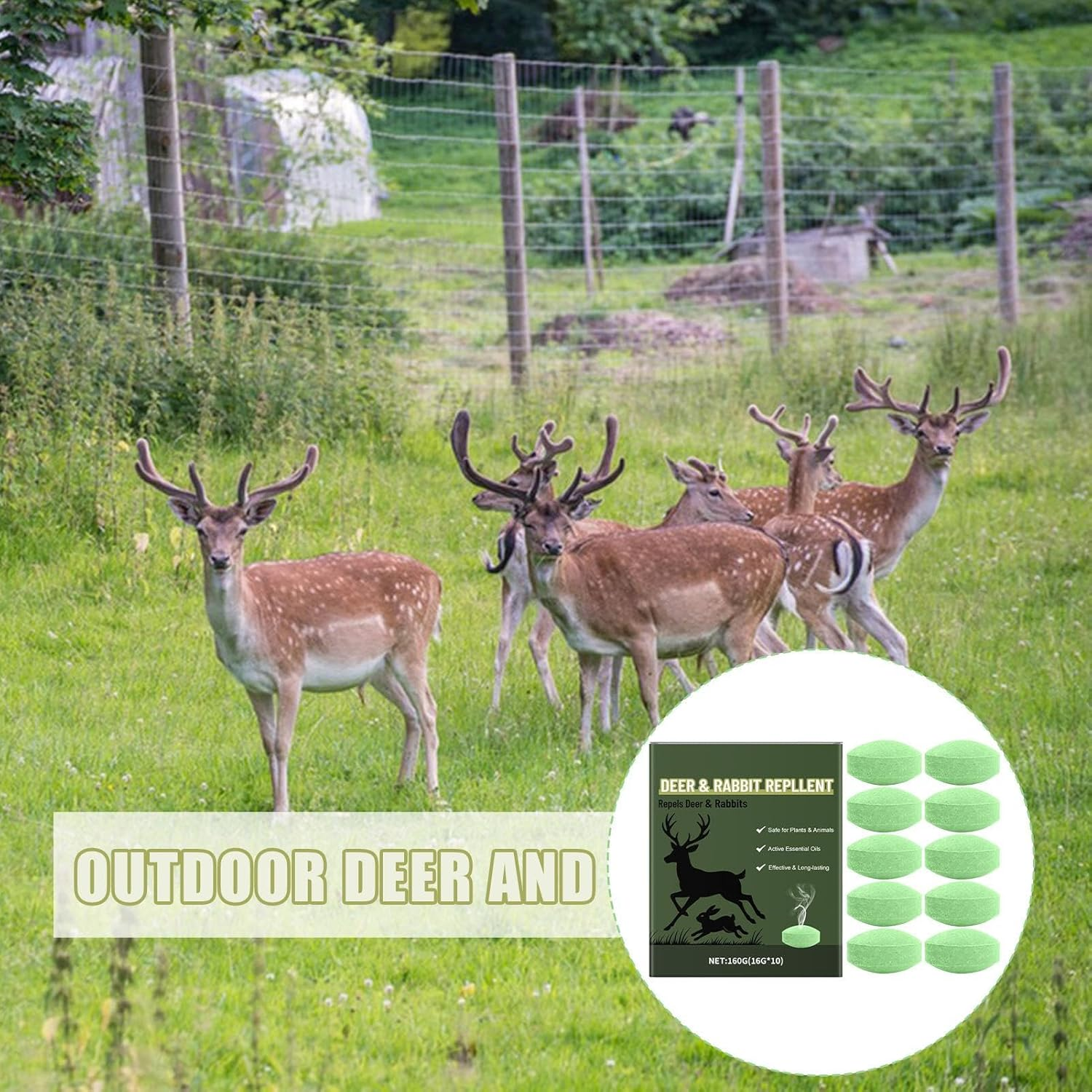 Deer Repellant for Yard - Deer Repellant Balls for Outdoor | Long-Lasting Protection Natural Peppermint Oil for Flowers Shrubs Vegetables Trees image number 3