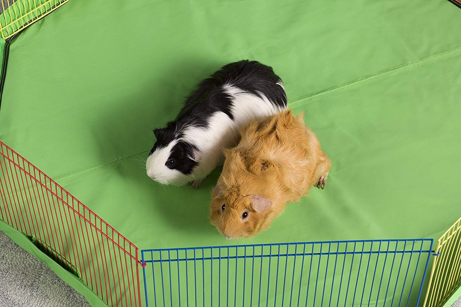 Prevue Pet Products Multi-Color Small Pet Playpen 40090 image number 1