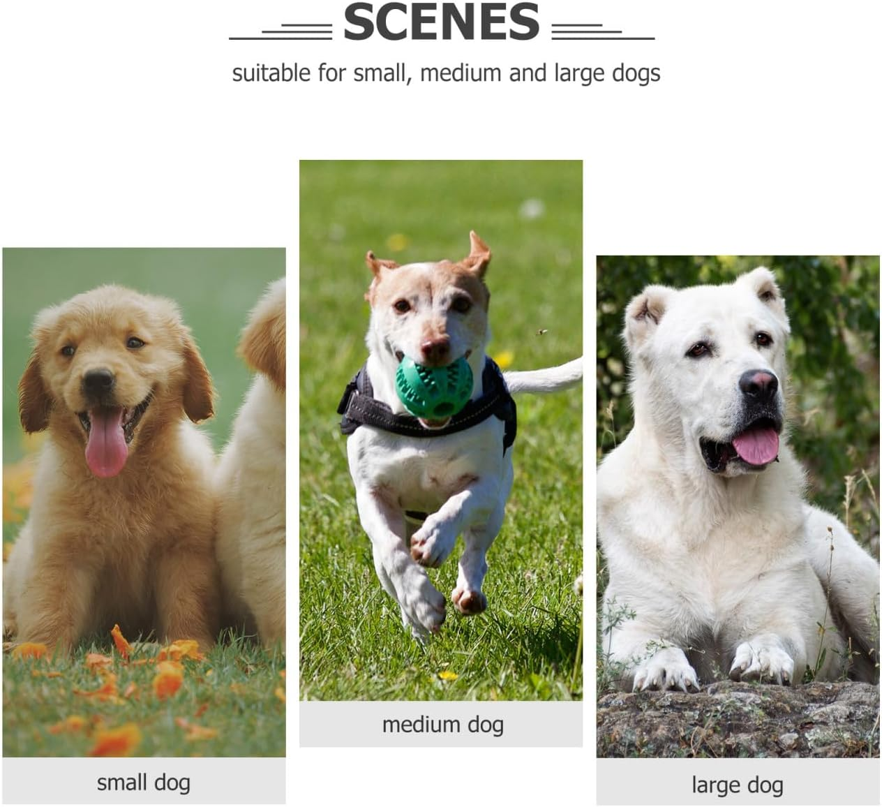 Kisangel 10Pcs Stainless Steel Dog Tags, Blank Bone Shape ID Tags for Pet Collars Lightweight Design